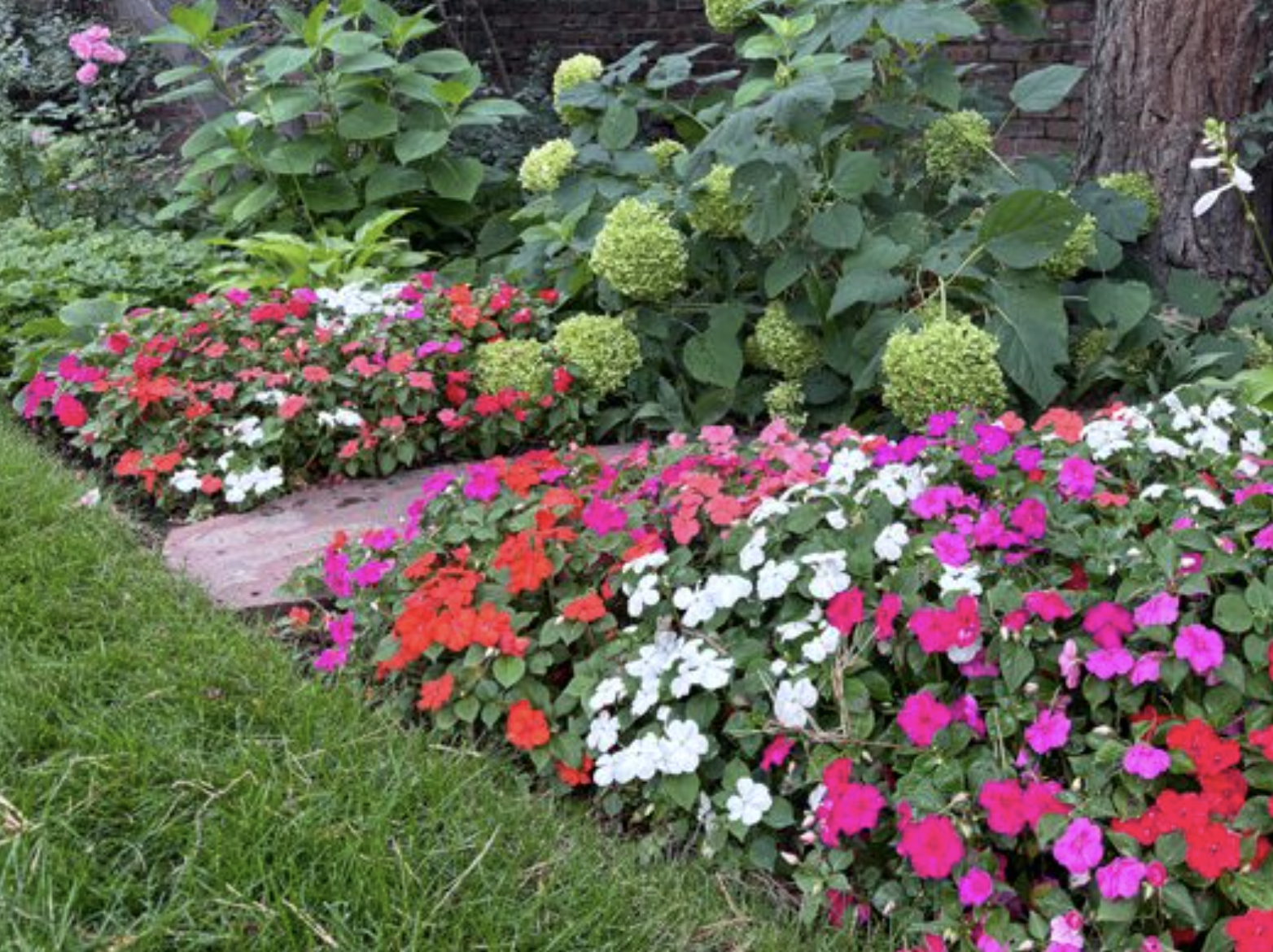 Vibrant perennial flower garden with seasonal blooms